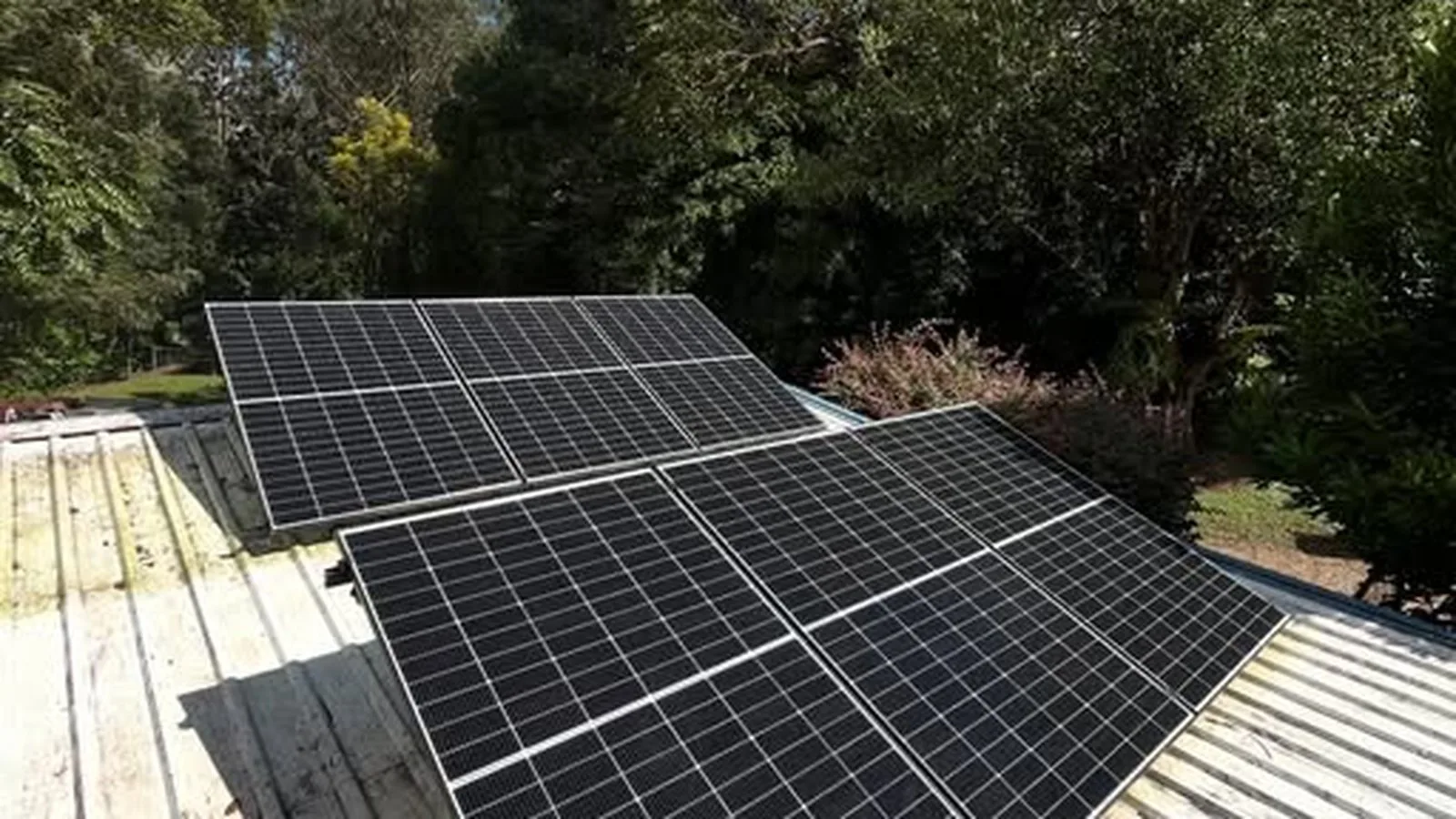 Solar panels installed on a rooftop surrounded by coastal trees